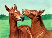 Mares and Foals, Equine Art - Girl Talk
